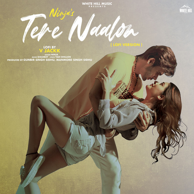 Tere Naalon (Lofi Version)