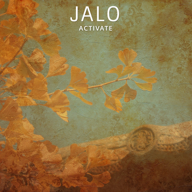 Activate cover art