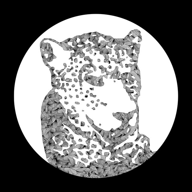 Need Your Lovin - Tiger & Woods Remix