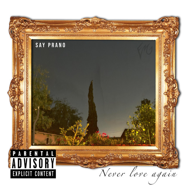 Never Love Again cover art