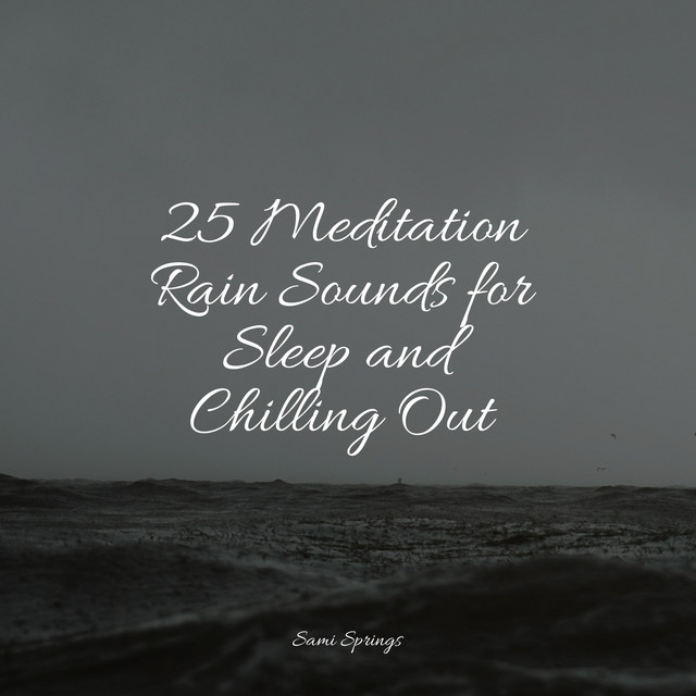 25 Meditation Rain Sounds for Sleep and Chilling Out - Album by Sound ...