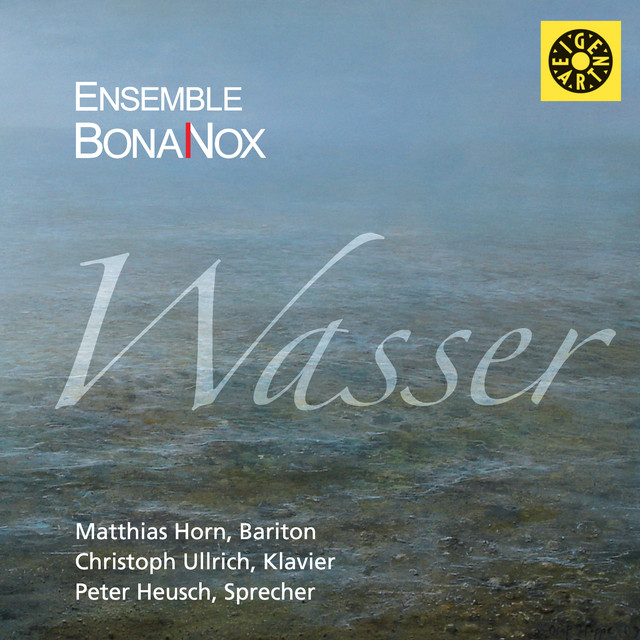 Wasser cover art