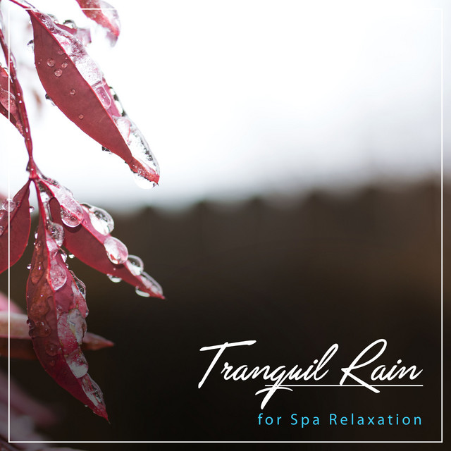 19 Tranquil Rain Noises for Spa Relaxation cover art