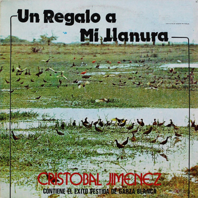 Un Regalo A Mi Llanura cover art