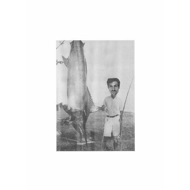 Lew Zealand cover art