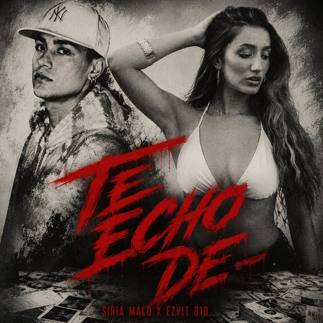 Te Echo de - album image