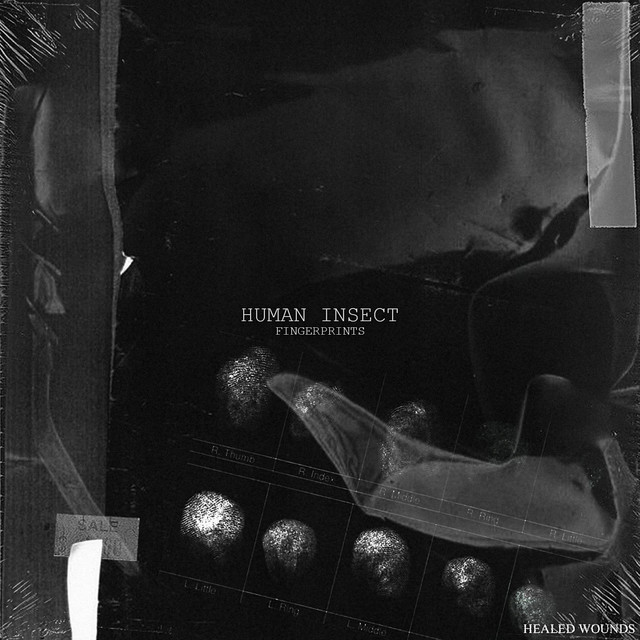 Human Insect - Fingerprints