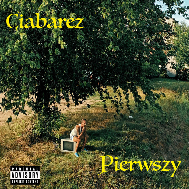 Pierwszy cover art