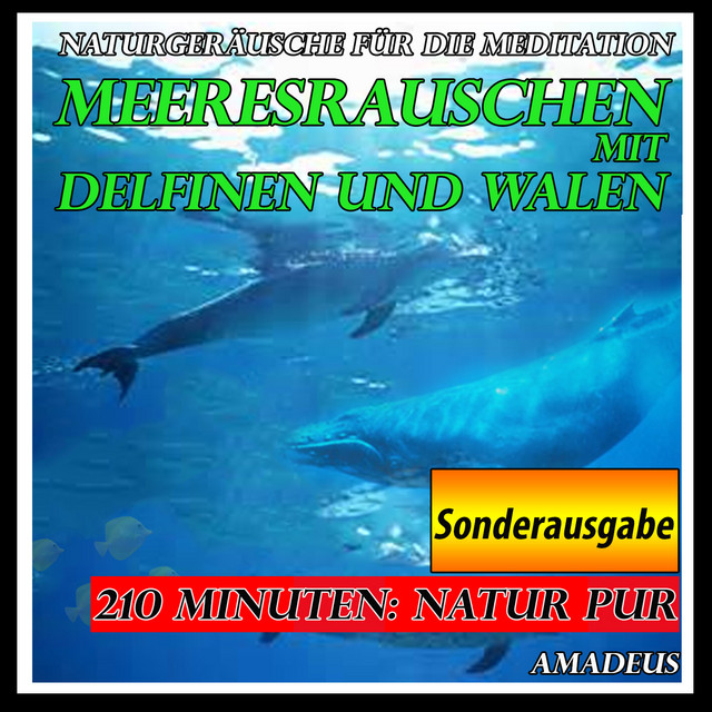 Naturgeräusche für die Meditation: Meeresrauschen mit Delfinen und Walen: Sonderausgabe cover art