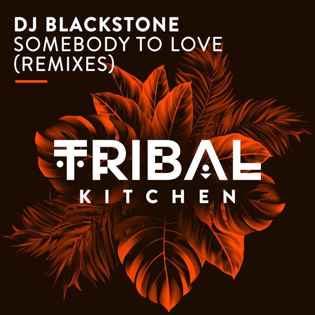 Somebody To Love - DJ Kone & Marc Palacios Remix album art