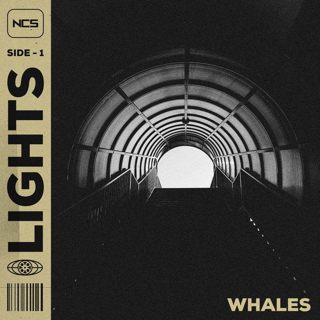 Lights cover art