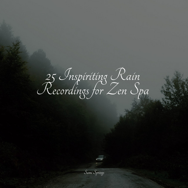 25 Inspiriting Rain Recordings for Zen Spa - Album by ASMR Sleep Sounds ...