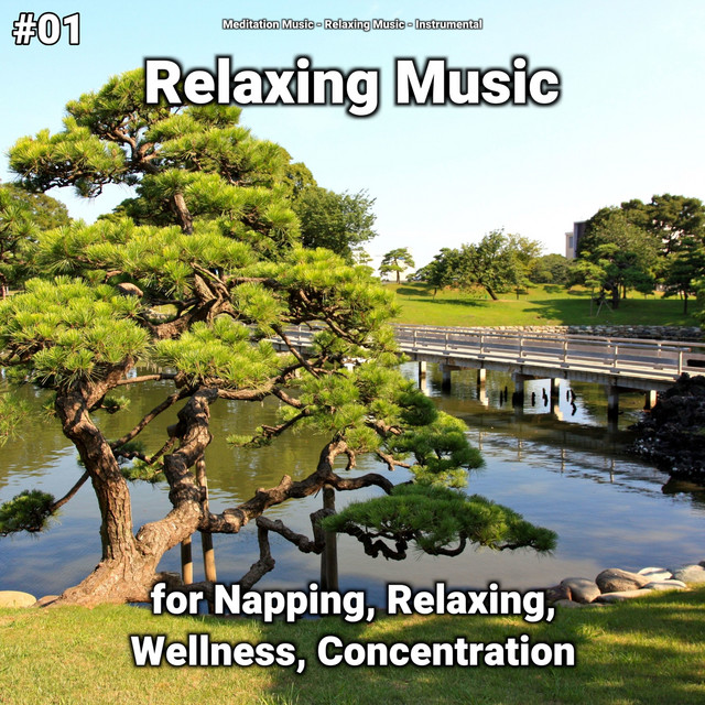 #01 Relaxing Music for Napping, Relaxing, Wellness, Concentration cover art