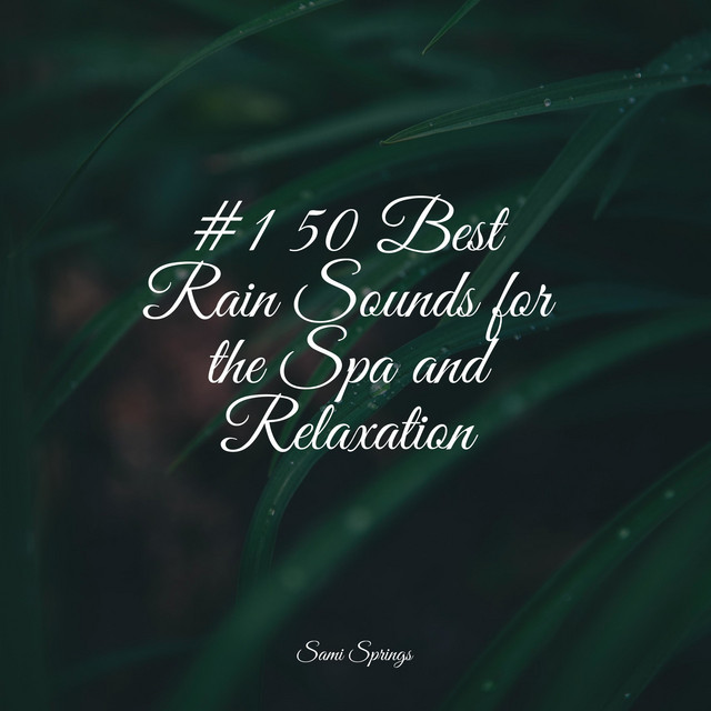 #1 50 Best Rain Sounds for the Spa and Relaxation - Album by ...