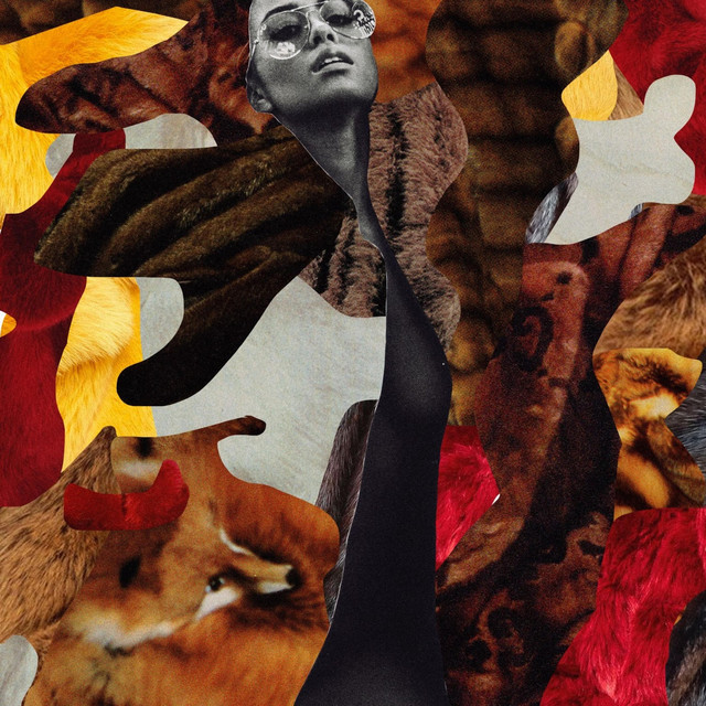 Mixed Minks cover