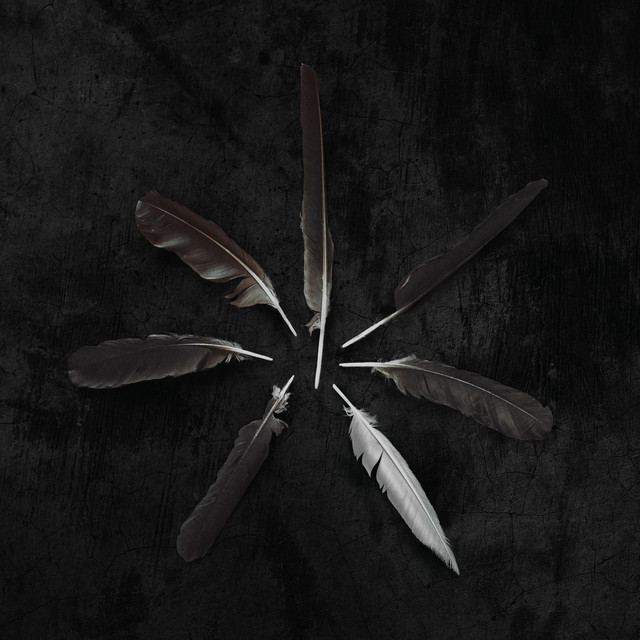 Dust and Disquiet cover art