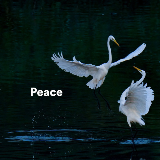 Peace cover art