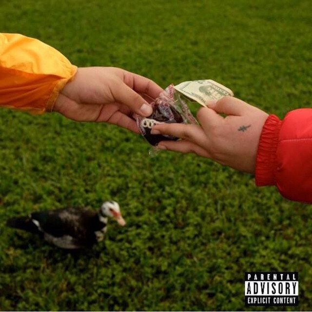 Fat Camp cover art