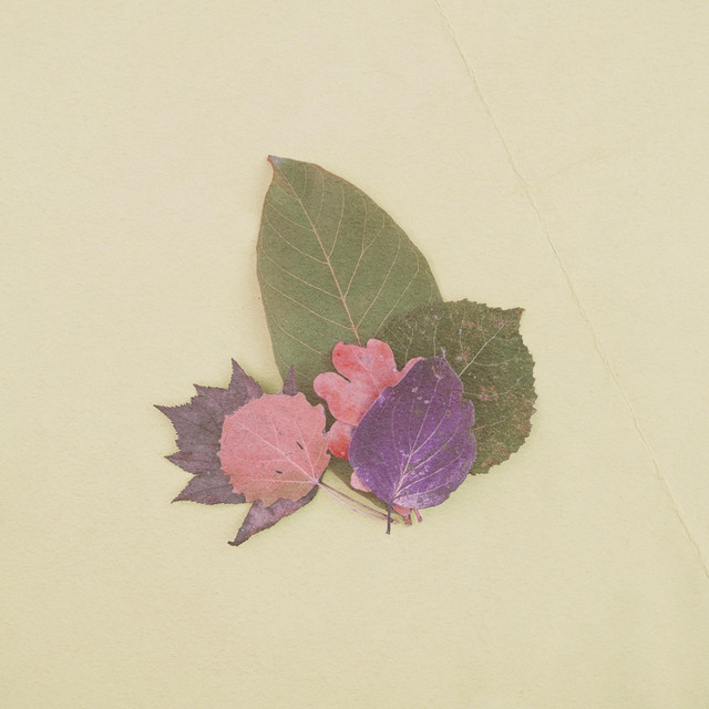 Feeling Jaded cover art