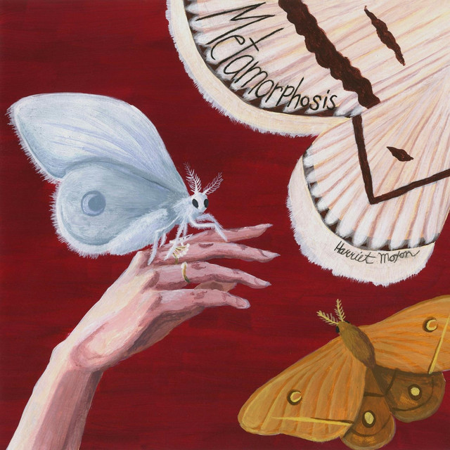 Harriet Moxon
