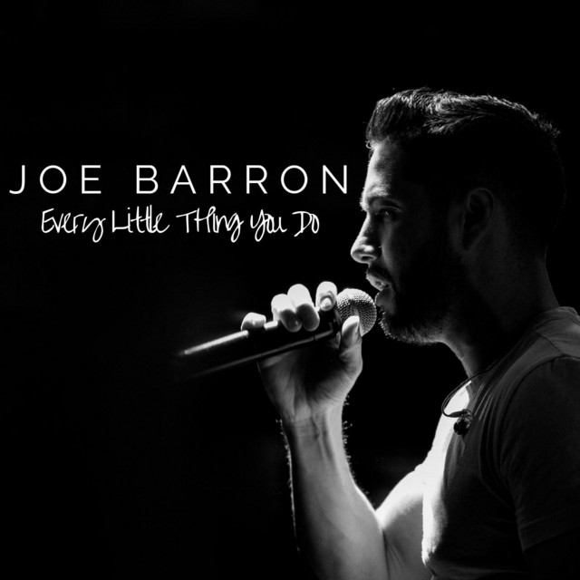 Every Little Thing You Do cover