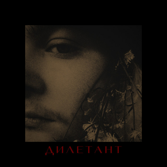 Дилетант cover art
