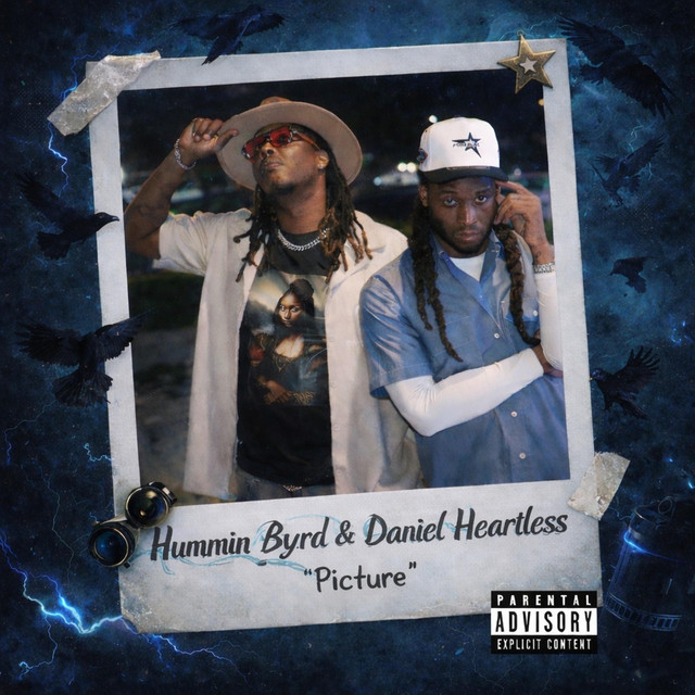 Picture cover art