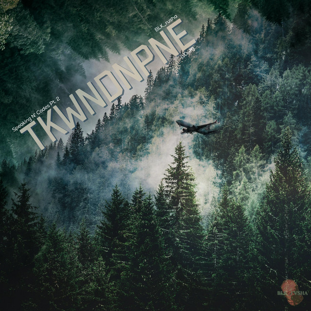 TKWDNPNE - Album by sDuff | Spotify