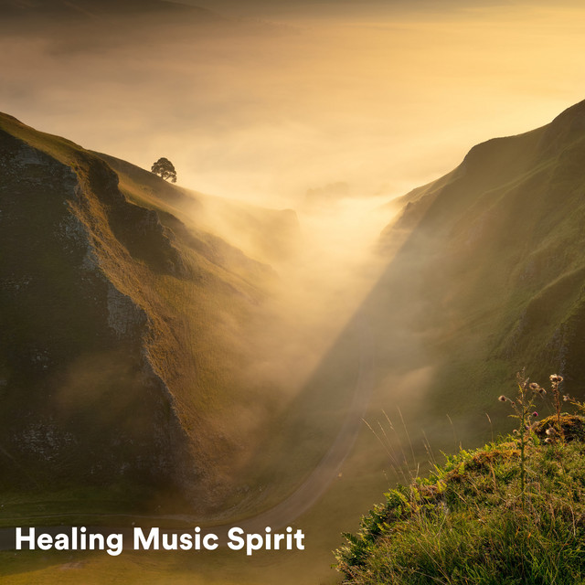 Healing Music Spirit cover art