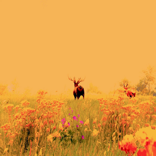 Dream Therapy cover art