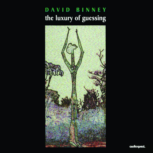 The Luxury of Guessing cover art