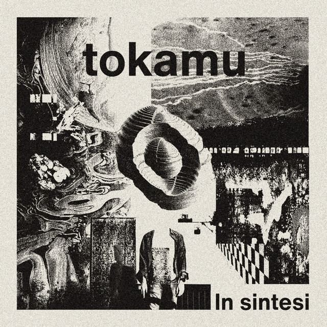 In sintesi cover art