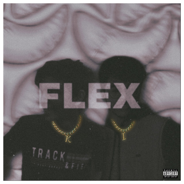 FLEX cover art