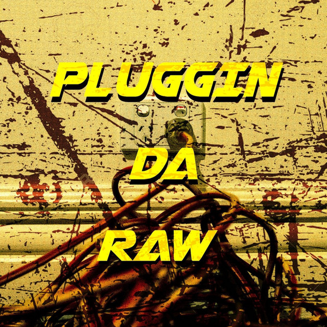 Pluggin da Raw cover art