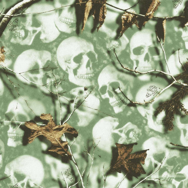 Realtreeskimask (feat. BONES)