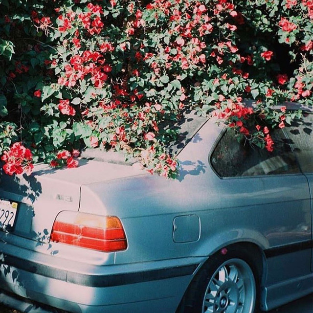 with me cover art