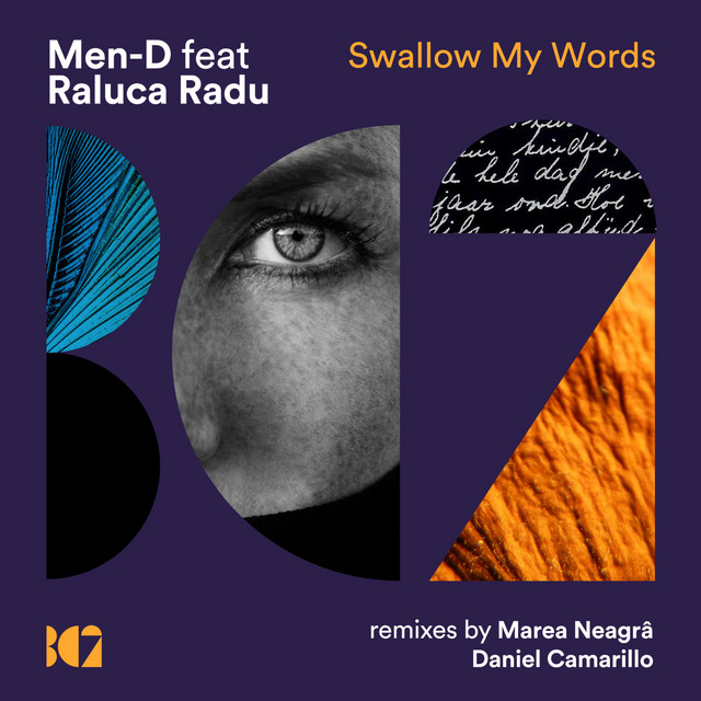 Swallow My Words - Marea Neagra Remix cover art