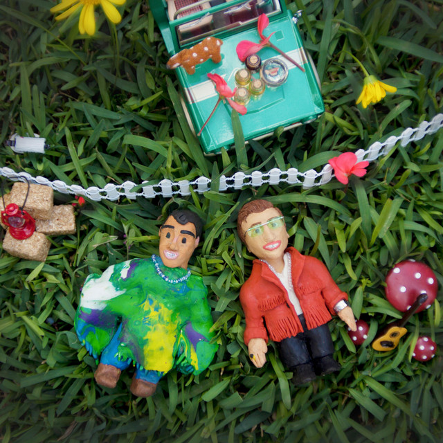 Grass cover art