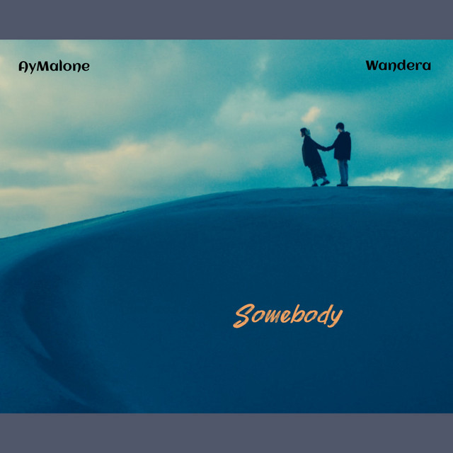 Somebody cover art