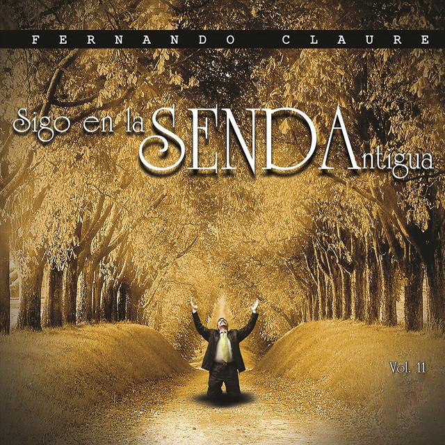 Sigo En La Senda Antigua, Vol. 11 cover art