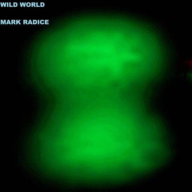 Wild World cover