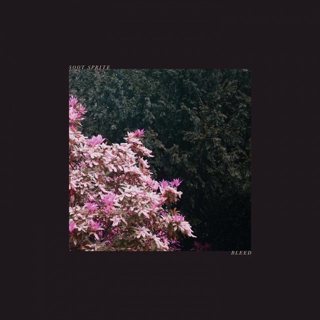 Bleed cover