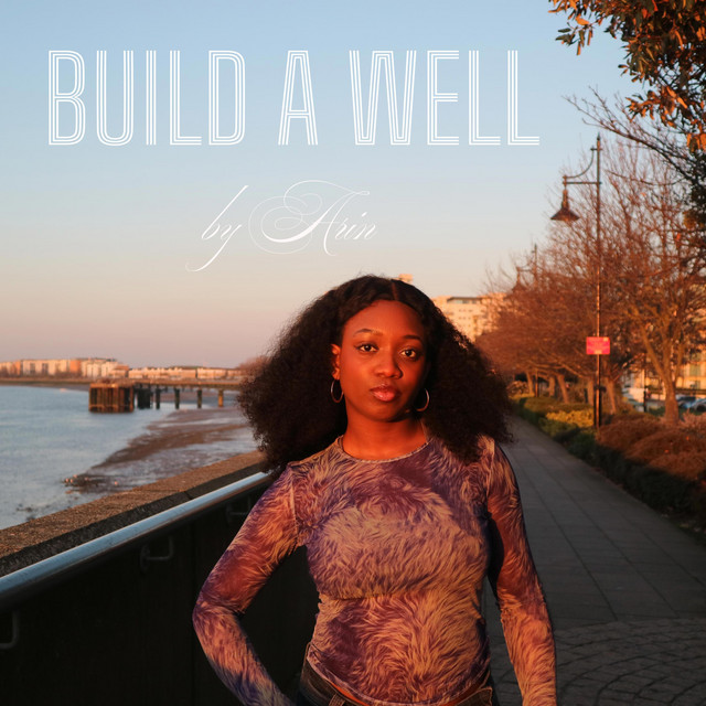 Build a Well (Full Version) cover