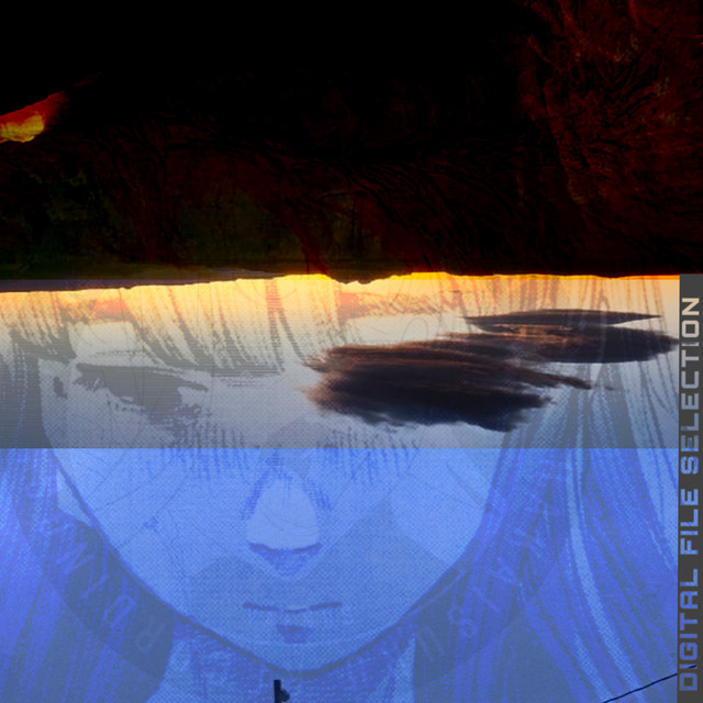 Digital File Selection cover art