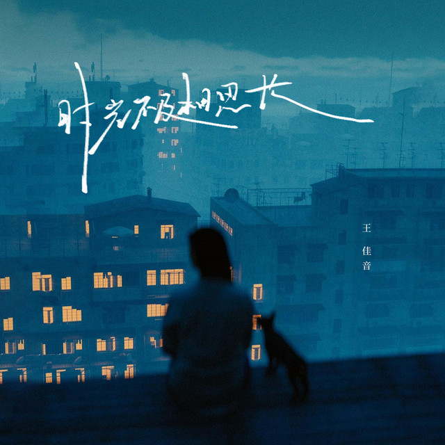 时光不及相思长 (DJ九零版)