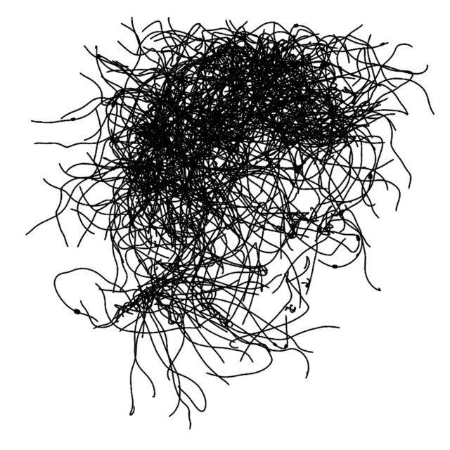 Donaudampfschifffahrtselektrizitätenhauptbetriebswerkbauunterbeamtengesellschaft cover art