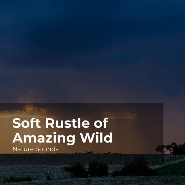Soft Rustle of Amazing Wild - Album by Nature Sounds | Spotify