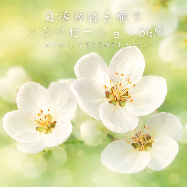 Autonomic Detox Music for Stress & Irritation Relief cover art