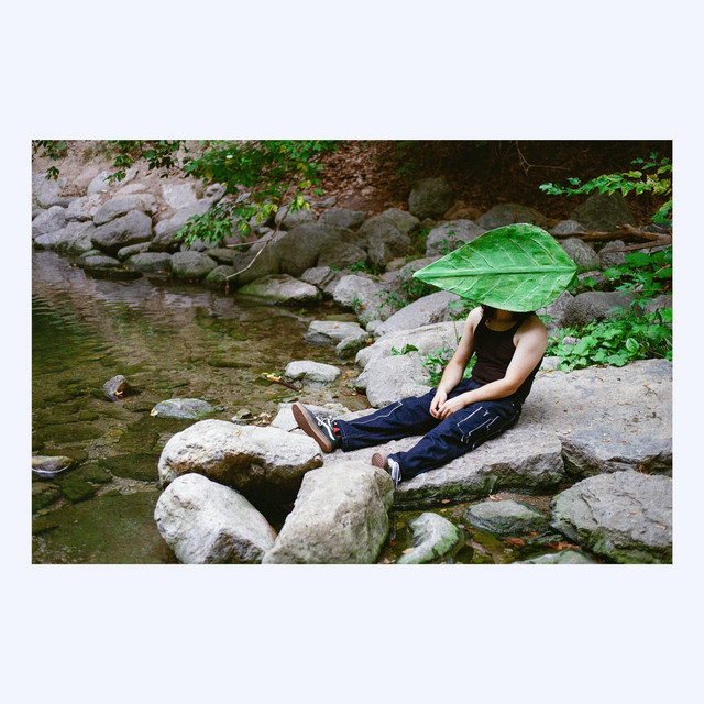 Growth cover art