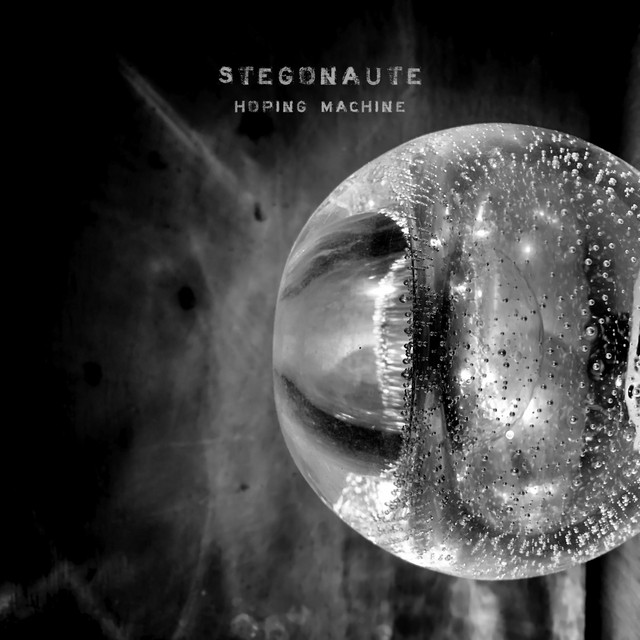 Hoping Machine cover art